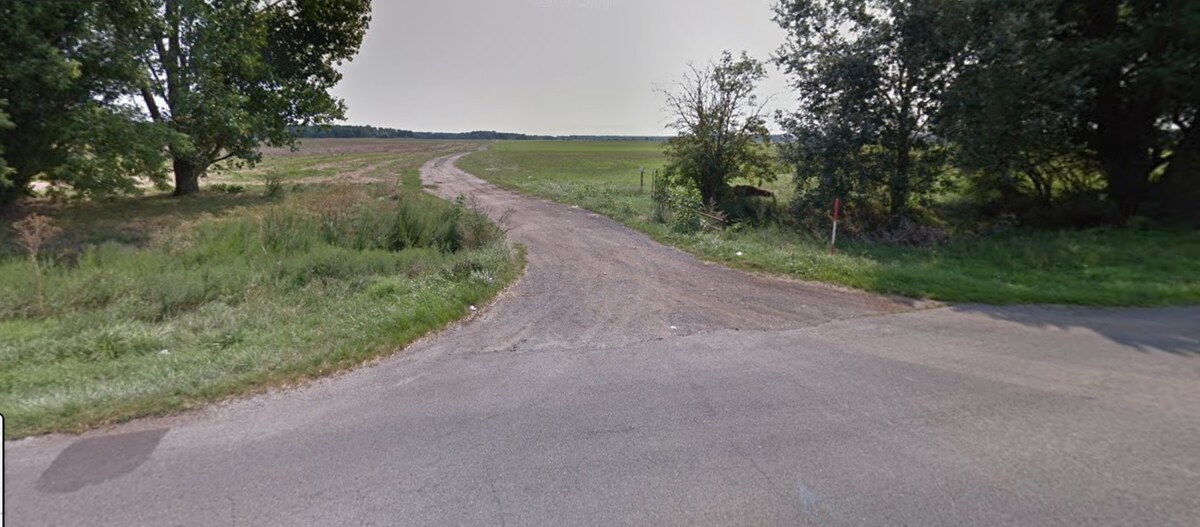 NA PREDAJ lesný pozemok, k.ú. Borský Svätý Jur — foto 2
