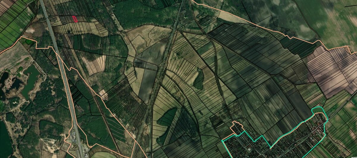NA PREDAJ lesný pozemok, k.ú. Borský Svätý Jur — foto 2