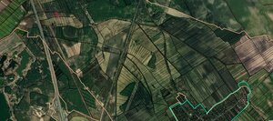 NA PREDAJ lesný pozemok, k.ú. Borský Svätý Jur — foto 2