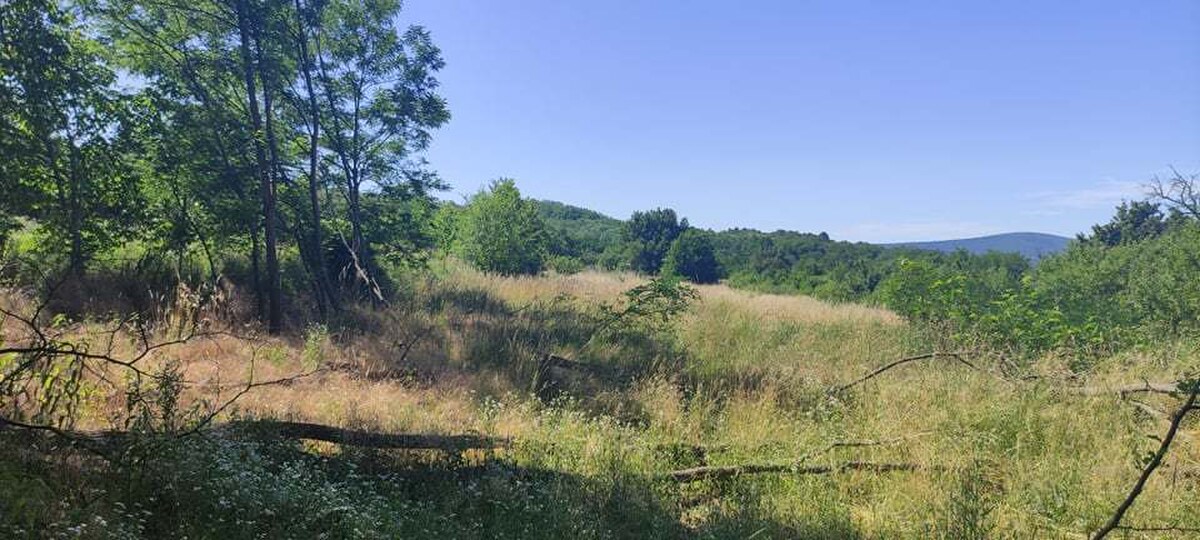 NA PREDAJ, rekreačný pozemok v k.ú. Stupava, 5637 m2 — foto 2