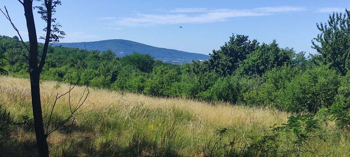 NA PREDAJ, rekreačný pozemok v k.ú. Stupava, 5637 m2 — foto 3
