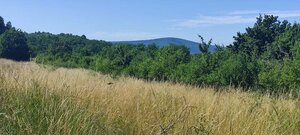 NA PREDAJ, rekreačný pozemok v k.ú. Stupava, 5637 m2 — foto 4