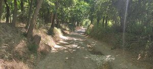 NA PREDAJ, rekreačný pozemok v k.ú. Stupava, 5637 m2 — foto 6