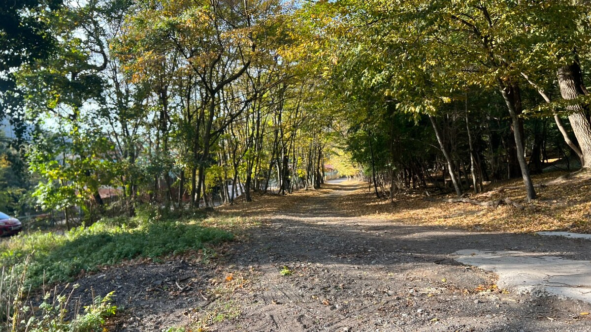 Pozemok o rozlohe 1100 m2 v krásnej lokalite Borinka, okres Malacky — foto 10
