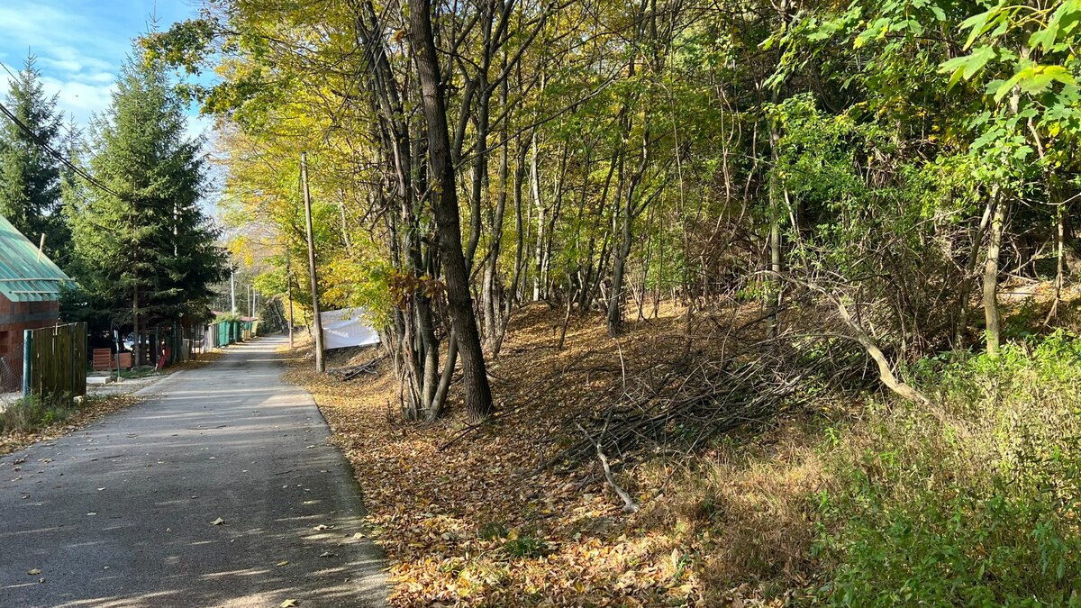 Pozemok o rozlohe 1100 m2 v krásnej lokalite Borinka, okres Malacky — foto 11