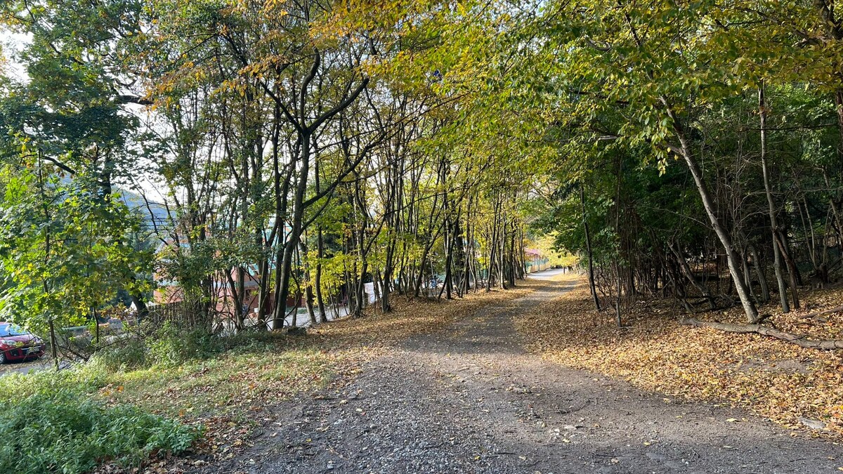Pozemok o rozlohe 1100 m2 v krásnej lokalite Borinka, okres Malacky — foto 2