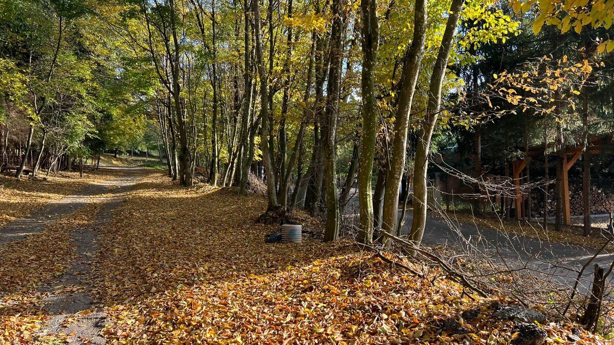 Pozemok o rozlohe 1100 m2 v krásnej lokalite Borinka, okres Malacky — foto 6