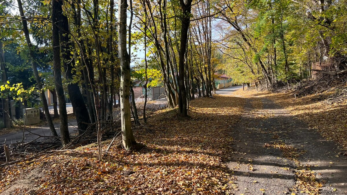 Pozemok o rozlohe 1100 m2 v krásnej lokalite Borinka, okres Malacky — foto 7