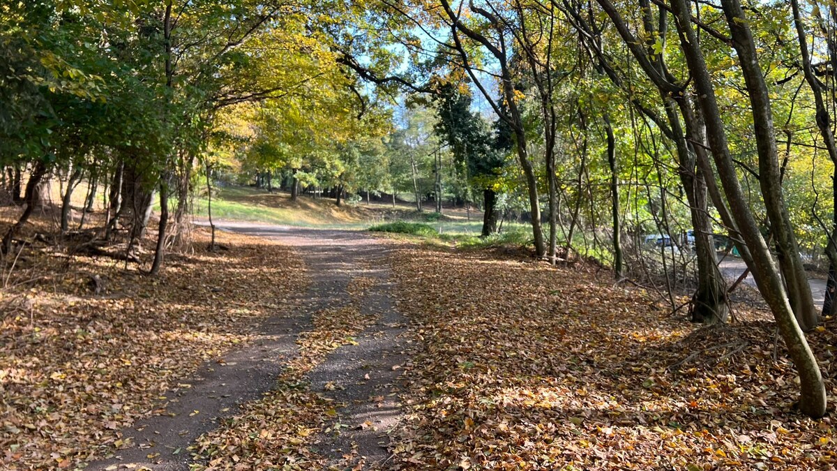 Pozemok o rozlohe 1100 m2 v krásnej lokalite Borinka, okres Malacky — foto 8