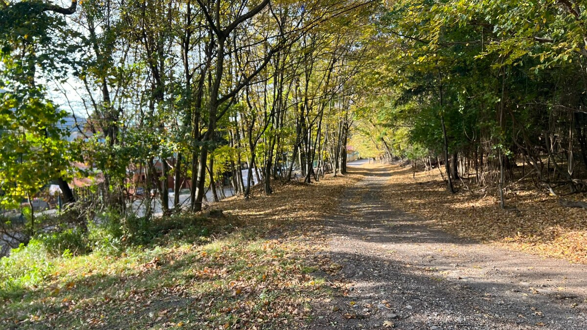 Pozemok o rozlohe 1100 m2 v krásnej lokalite Borinka, okres Malacky — foto 9
