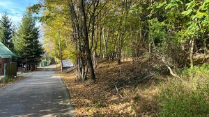Pozemok o rozlohe 1100 m2 v krásnej lokalite Borinka, okres Malacky — foto 11
