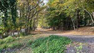 Pozemok o rozlohe 1100 m2 v krásnej lokalite Borinka, okres Malacky — foto 3