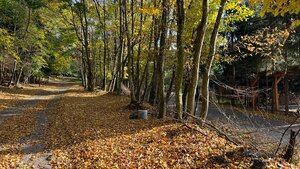 Pozemok o rozlohe 1100 m2 v krásnej lokalite Borinka, okres Malacky — foto 6