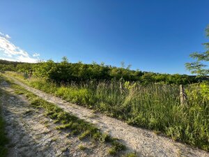 BA/RAČA - Investícia alebo pestovanie vína? Vinohrad na predaj — foto 11