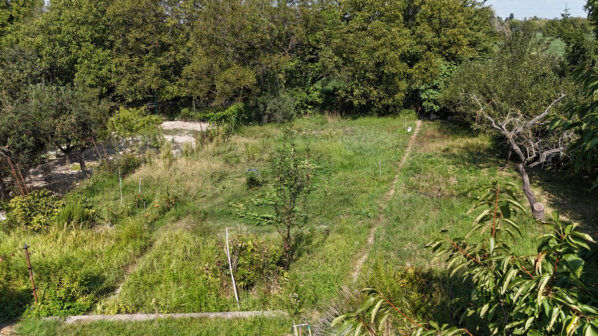 Slnečný pozemok pri Malom Dunaji s chatkou – ideálne miesto na  oddych — foto 17