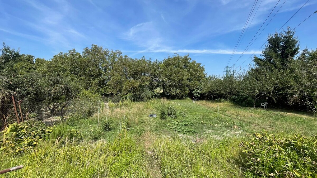 Slnečný pozemok pri Malom Dunaji s chatkou – ideálne miesto na  oddych — foto 5