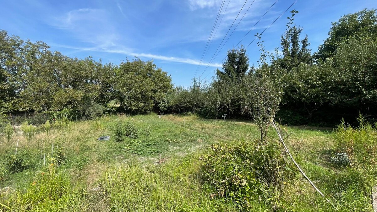Slnečný pozemok pri Malom Dunaji s chatkou – ideálne miesto na  oddych — foto 7