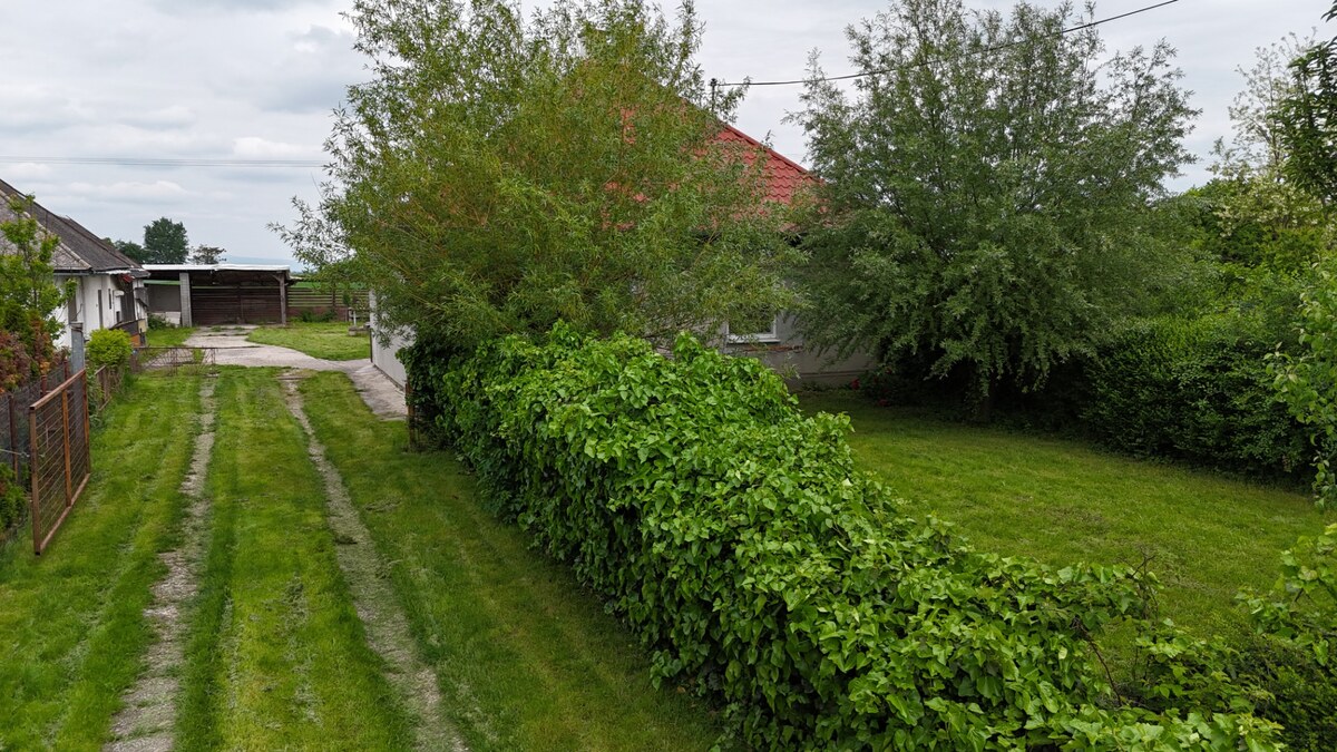Veľký priestranný pozemok o rozlohe 7445 m2, Jelka — foto 11