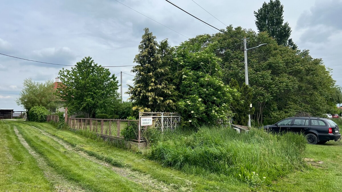 Veľký priestranný pozemok o rozlohe 7445 m2, Jelka — foto 13