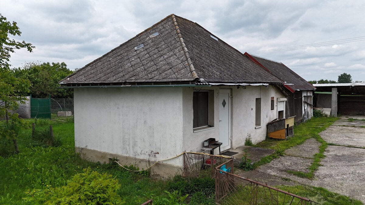 Veľký priestranný pozemok o rozlohe 7445 m2, Jelka — foto 7
