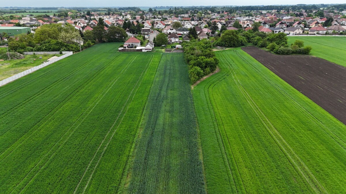 Veľký priestranný pozemok o rozlohe 7445 m2 s RD, Jelka — foto 3
