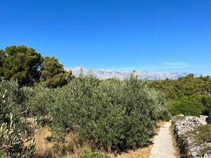 CHORVATSKO/BRAČ - Stavebný pozemok 150m od krásnej pláže — foto 7