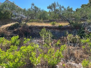 CHORVATSKO/BRAČ - Stavebný pozemok 150m od krásnej pláže — foto 9