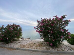 PAG/MANDRE - 3i apartmán v štandarde na prízemí s loggiou — foto 11