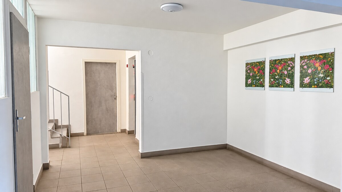 DLHE DIELY - Zrekonštruovaný 3i byt s loggiou - Kolískova ul. — foto 30