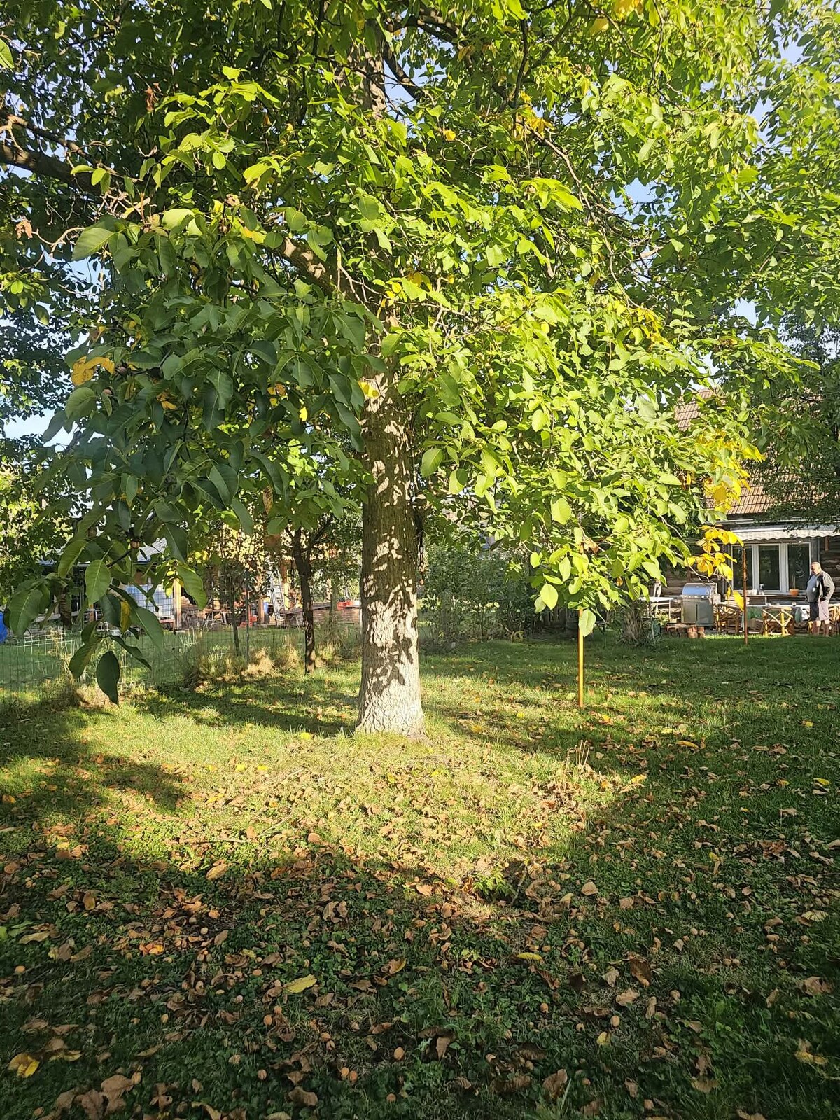 Malebná drevenica — foto 14