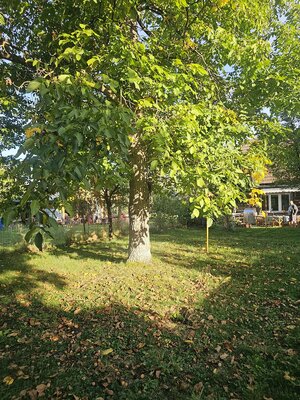 Malebná drevenica — foto 14