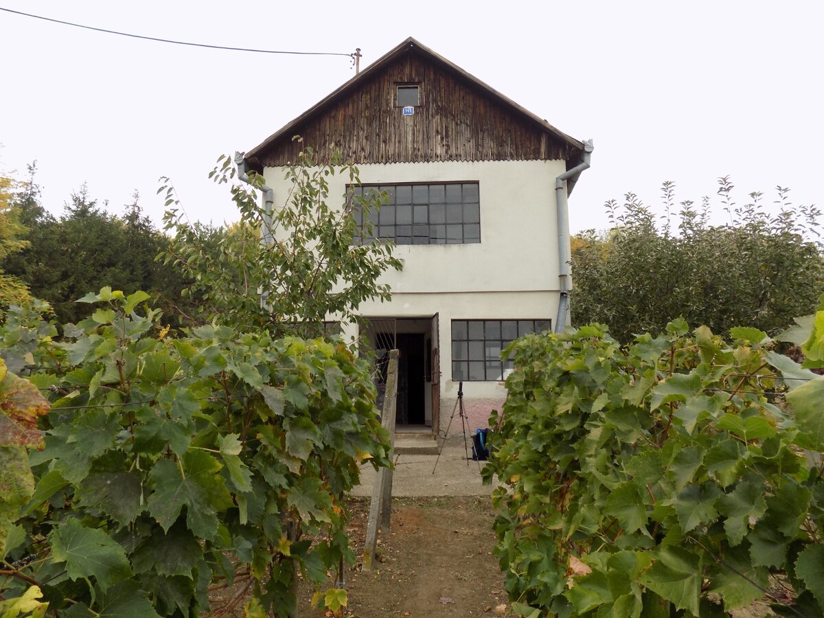 Na predaj viničný domček s vinicou pri Štúrove .