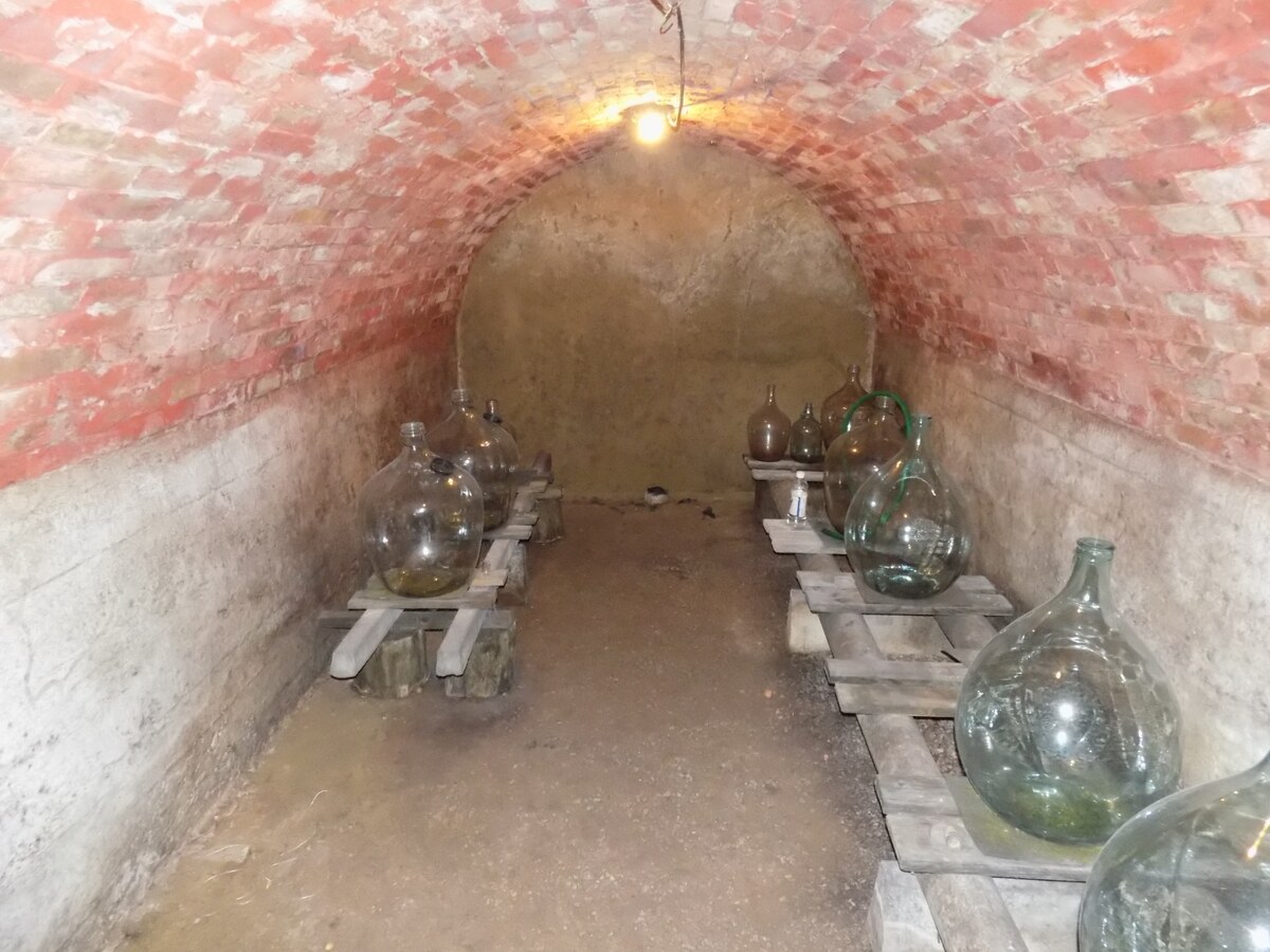 Na predaj viničný domček s vinicou pri Štúrove . — foto 13