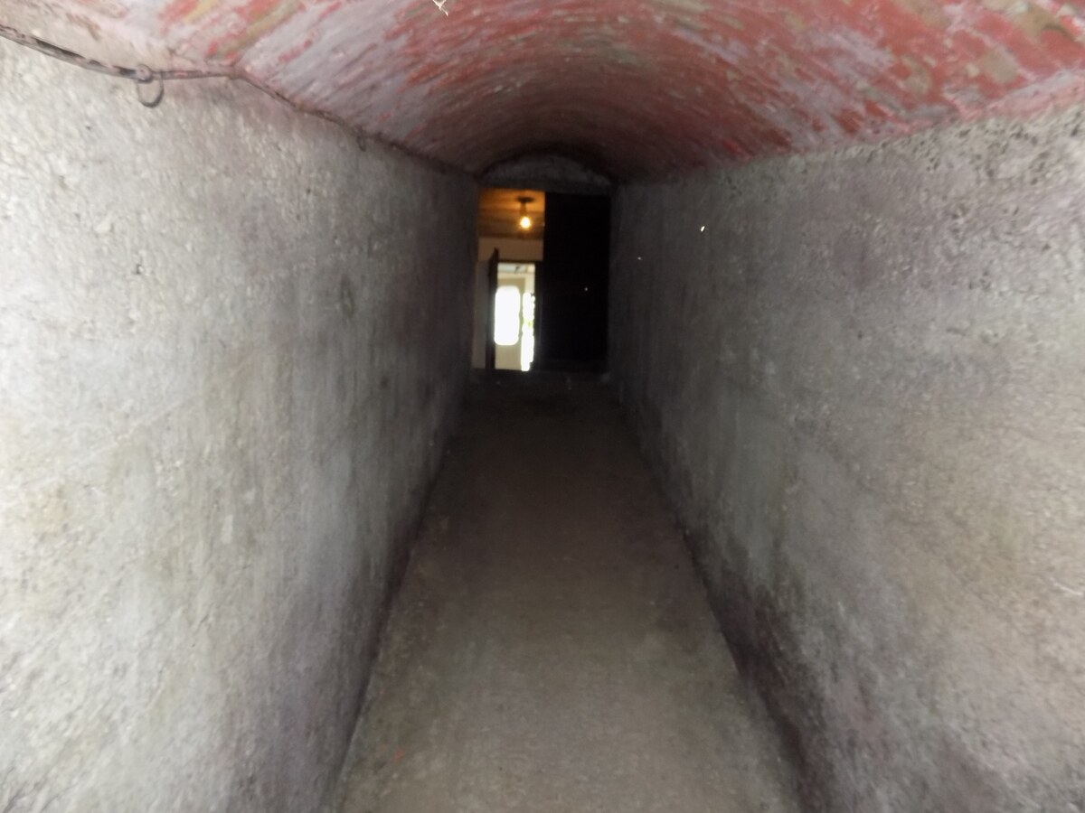 Na predaj viničný domček s vinicou pri Štúrove . — foto 14