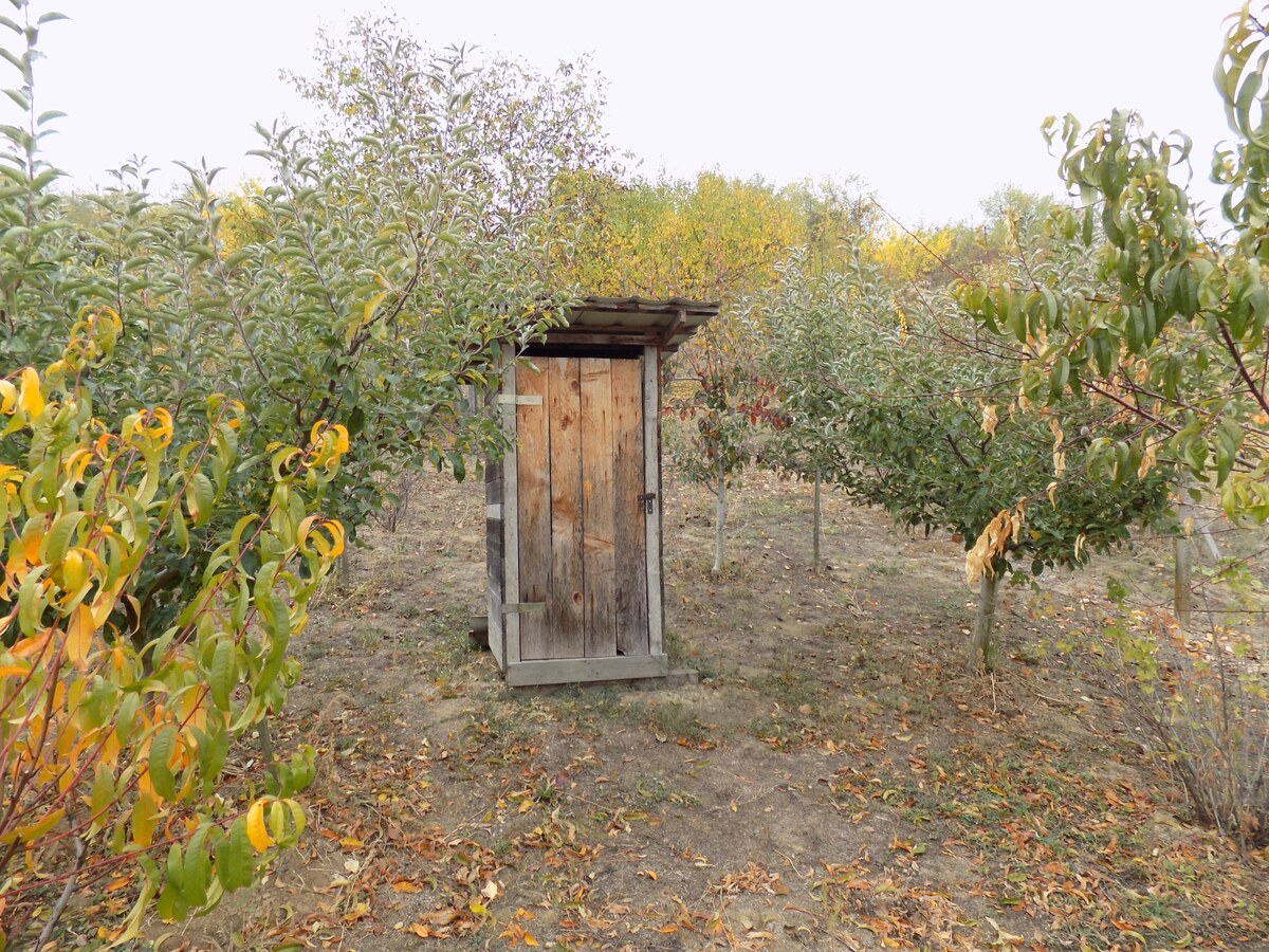 Na predaj viničný domček s vinicou pri Štúrove . — foto 15