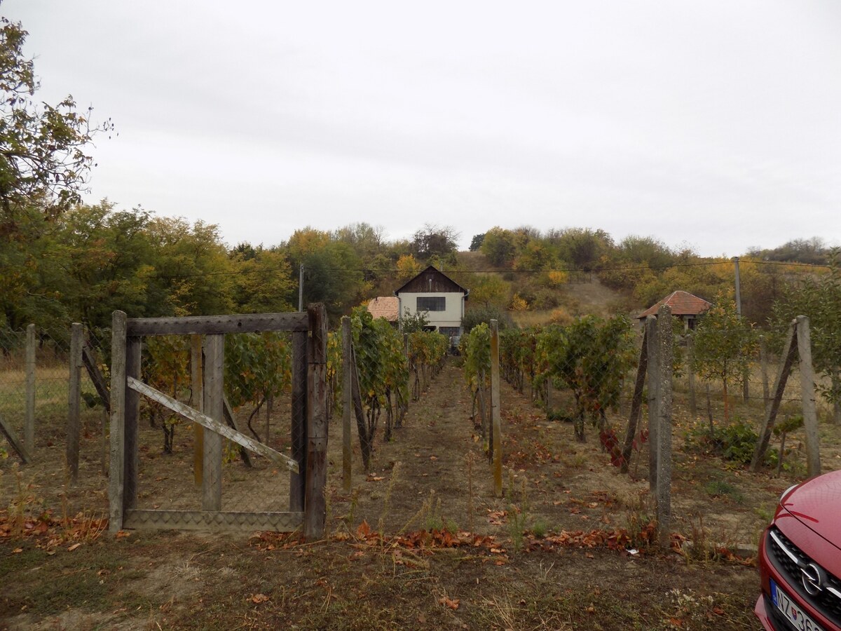 Na predaj viničný domček s vinicou pri Štúrove . — foto 16