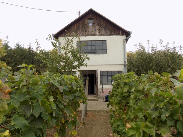 Na predaj viničný domček s vinicou pri Štúrove .