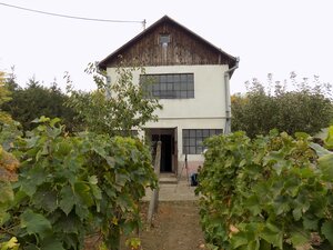 Na predaj viničný domček s vinicou pri Štúrove . — foto 1
