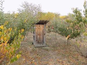 Na predaj viničný domček s vinicou pri Štúrove . — foto 15
