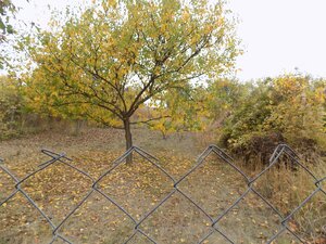 Na predaj viničný domček s vinicou pri Štúrove . — foto 17