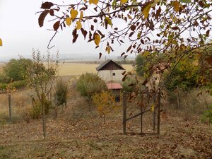 Na predaj viničný domček s vinicou pri Štúrove . — foto 18