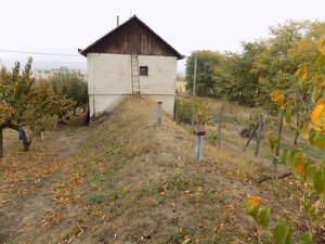 Na predaj viničný domček s vinicou pri Štúrove . — foto 2