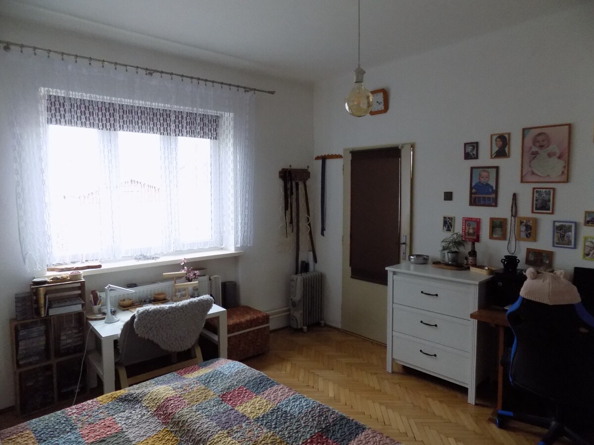 Tehlový dom s obytným podkrovím -Zemianská Olča s jazierkom. — foto 10