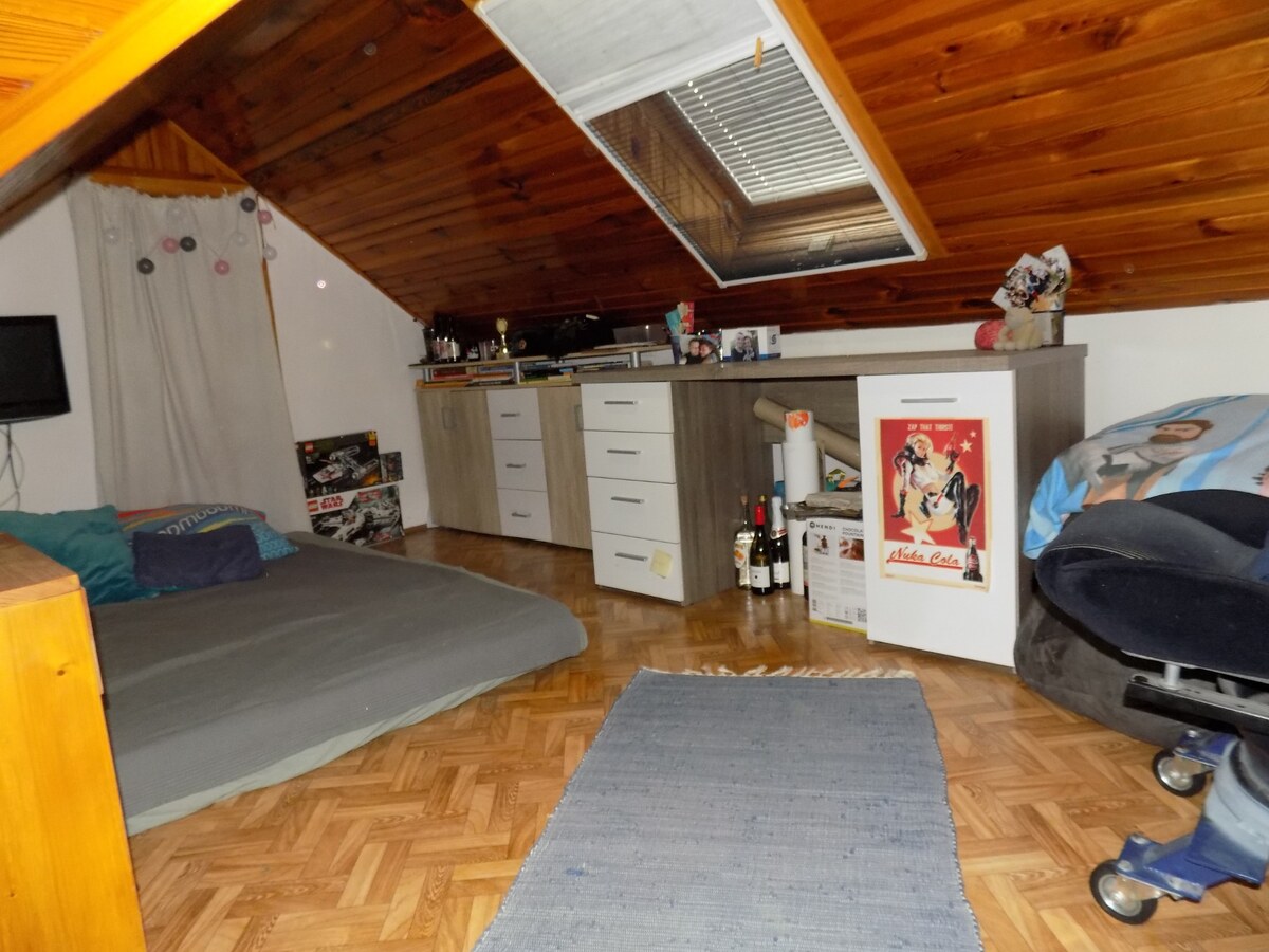 Tehlový dom s obytným podkrovím -Zemianská Olča s jazierkom. — foto 14