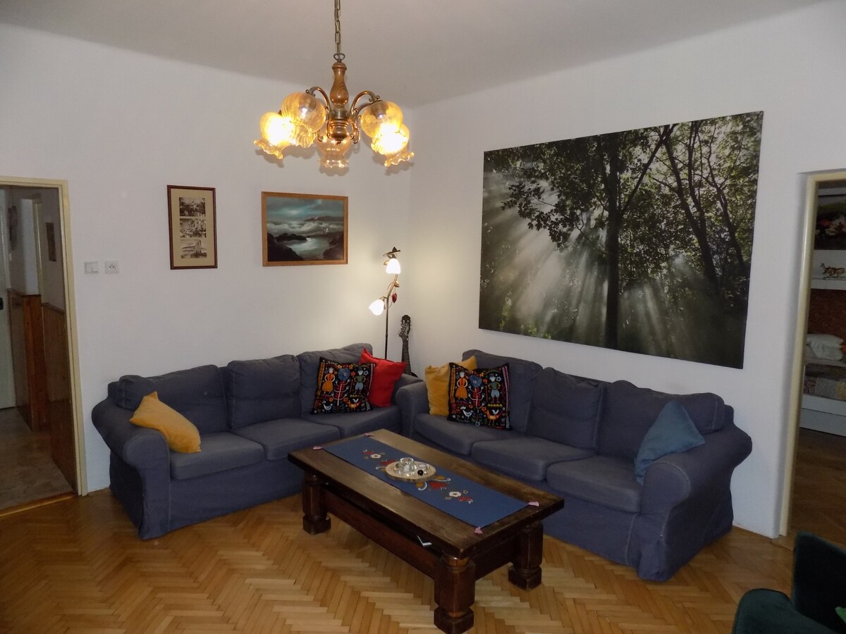Tehlový dom s obytným podkrovím -Zemianská Olča s jazierkom. — foto 16