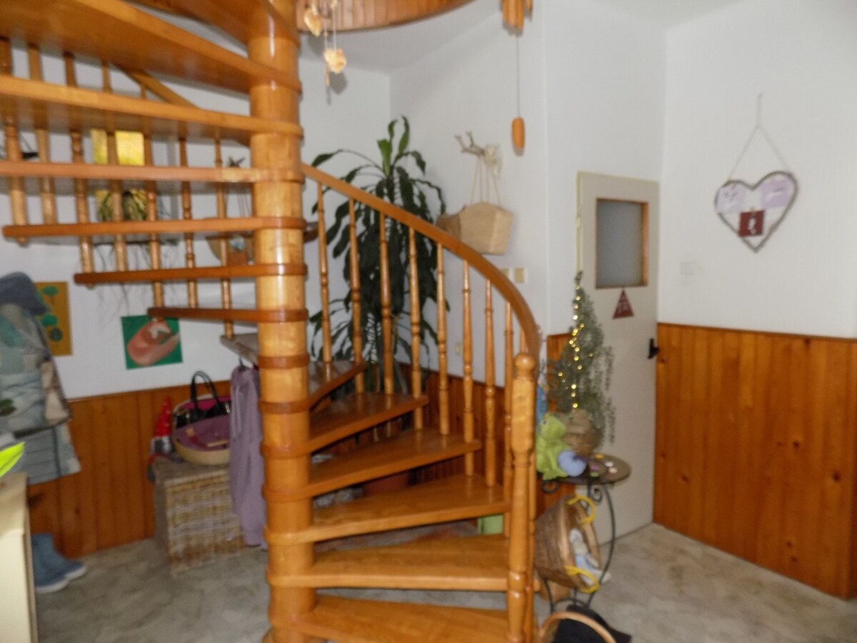Tehlový dom s obytným podkrovím -Zemianská Olča s jazierkom. — foto 7