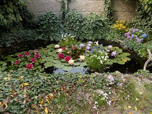 Tehlový dom s obytným podkrovím -Zemianská Olča s jazierkom. — foto 20
