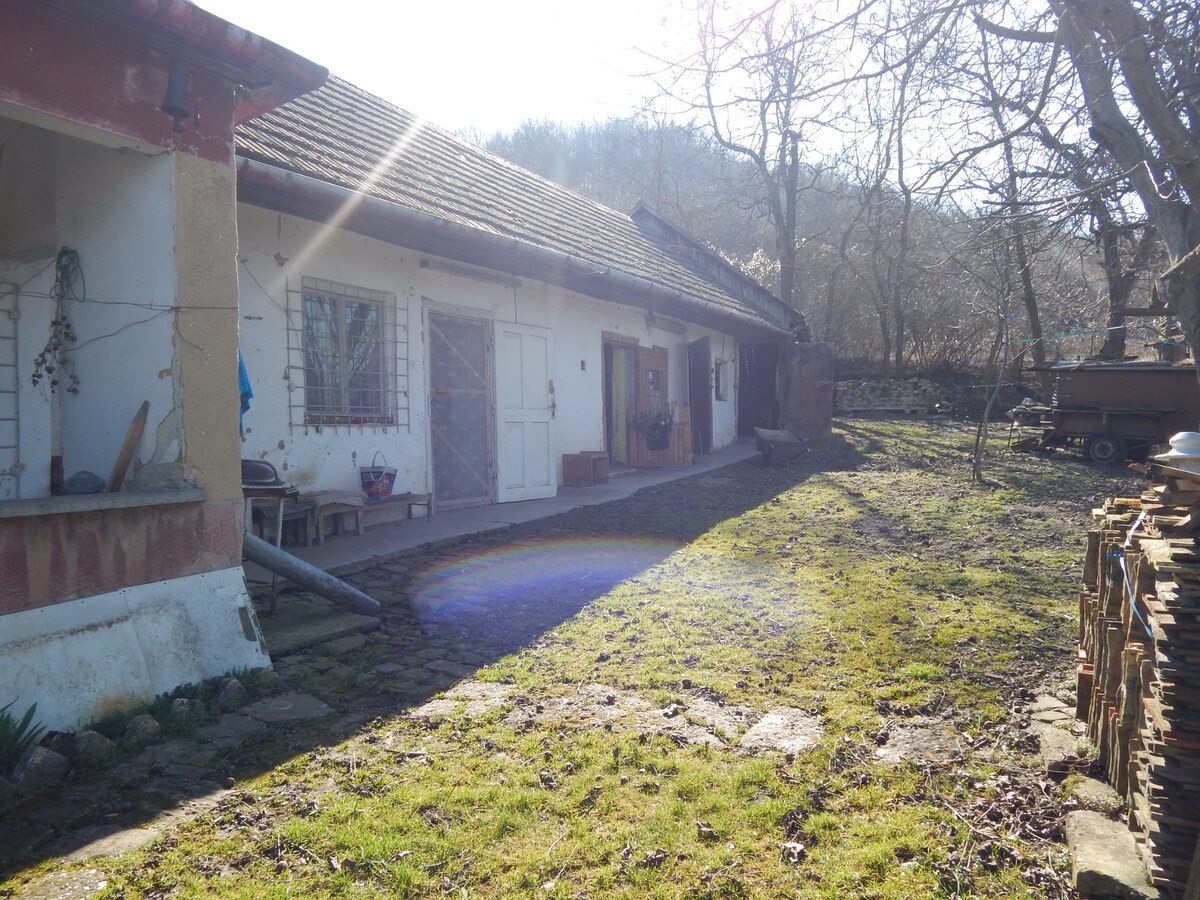 Na predaj 3. izb. vidiecky dom v Dubníku 17km od Gbeliec. — foto 7