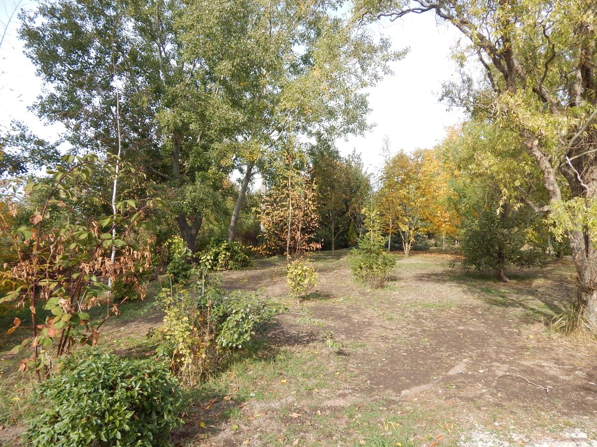 Na predaj zateplený,  dom v Šuranoch s krásnym parkom . — foto 12