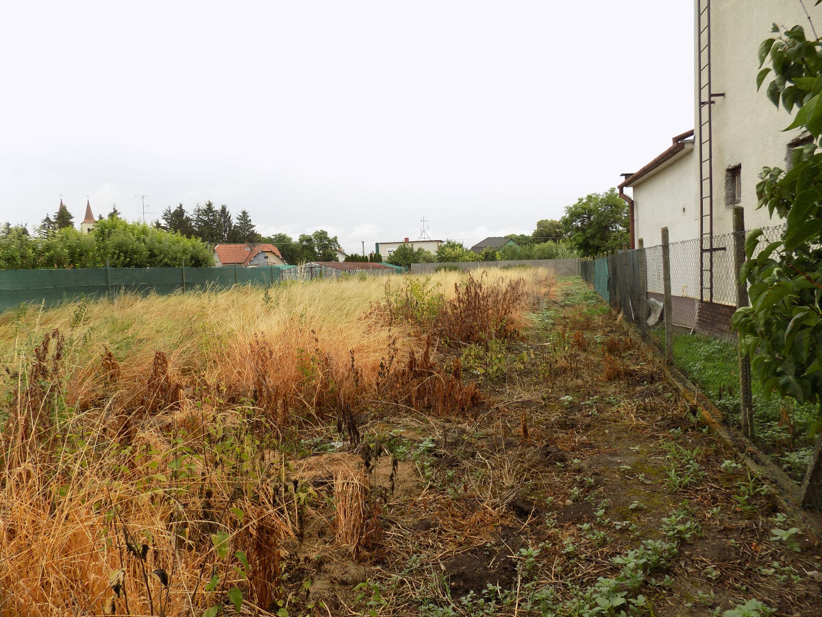Na predaj rovinatý pozemok  v obci Bíňa -1088m2 pri Štúrove . — foto 5